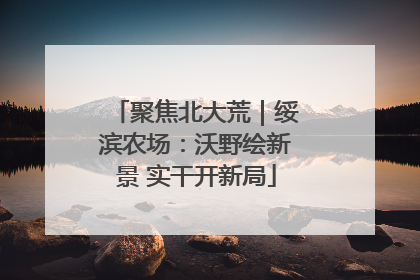 聚焦北大荒｜绥滨农场：沃野绘新景 实干开新局