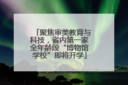 聚焦审美教育与科技，省内第一家全年龄段“博物馆学校”即将开学