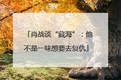 肖战谈“藏海”：他不是一味想要去复仇