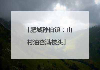 肥城孙伯镇：山村油杏满枝头