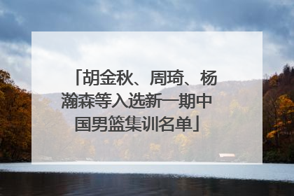 胡金秋、周琦、杨瀚森等入选新一期中国男篮集训名单
