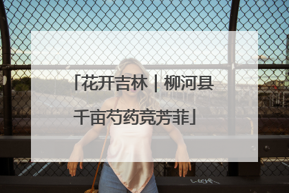 花开吉林｜柳河县千亩芍药竞芳菲