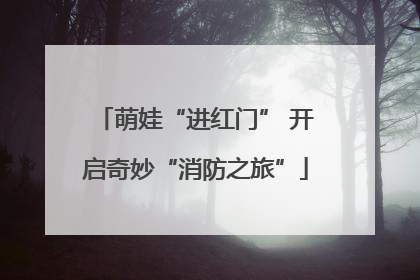 萌娃“进红门” 开启奇妙“消防之旅”