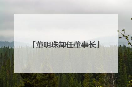 董明珠卸任董事长