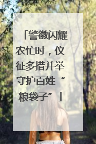 警徽闪耀农忙时，仪征多措并举守护百姓“粮袋子”