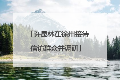 许昆林在徐州接待信访群众并调研