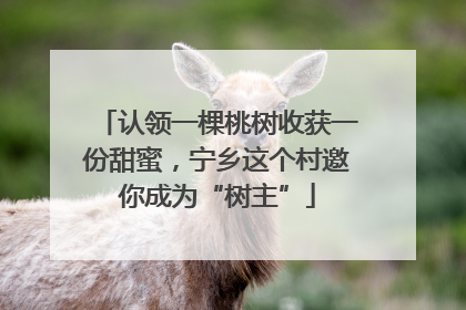 认领一棵桃树收获一份甜蜜，宁乡这个村邀你成为“树主”