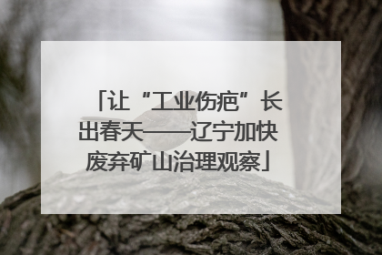 让“工业伤疤”长出春天——辽宁加快废弃矿山治理观察