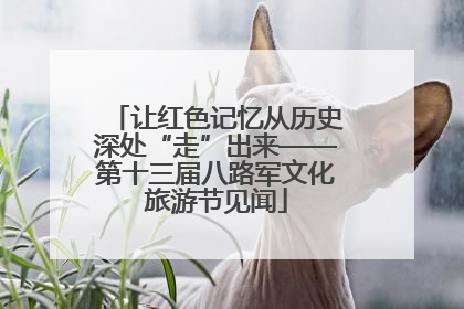 让红色记忆从历史深处“走”出来——第十三届八路军文化旅游节见闻
