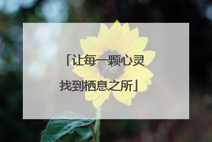 让每一颗心灵找到栖息之所