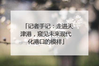 记者手记：走进天津港，窥见未来现代化港口的模样