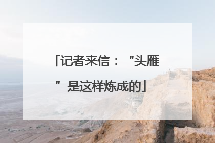 记者来信：“头雁”是这样炼成的