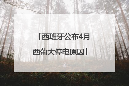西班牙公布4月西葡大停电原因