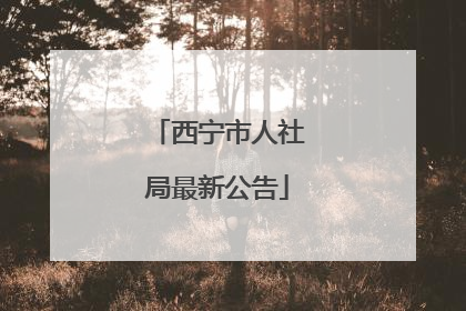 西宁市人社局最新公告