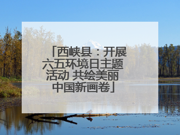 西峡县：开展六五环境日主题活动 共绘美丽中国新画卷