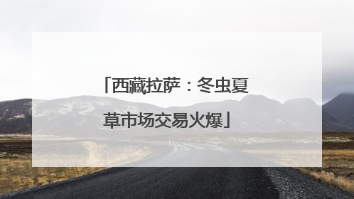 西藏拉萨：冬虫夏草市场交易火爆