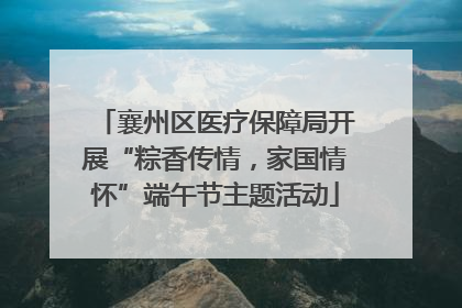 襄州区医疗保障局开展“粽香传情，家国情怀”端午节主题活动