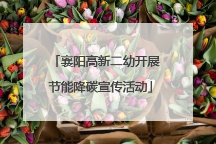 襄阳高新二幼开展节能降碳宣传活动
