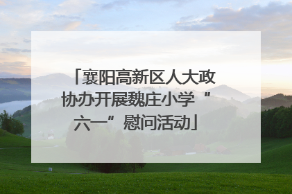 襄阳高新区人大政协办开展魏庄小学“六一”慰问活动