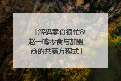 解码零食很忙&赵一鸣零食与加盟商的共赢方程式
