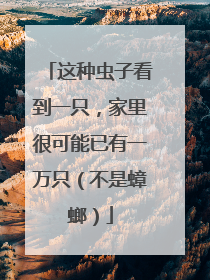 这种虫子看到一只，家里很可能已有一万只（不是蟑螂）