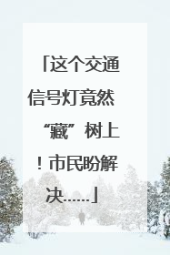 这个交通信号灯竟然“藏”树上！市民盼解决……