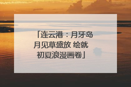 连云港：月牙岛月见草盛放 绘就初夏浪漫画卷