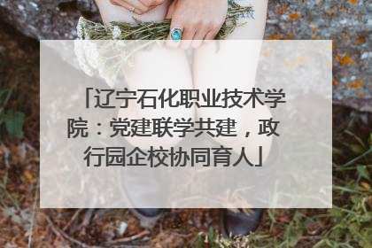 辽宁石化职业技术学院：党建联学共建，政行园企校协同育人