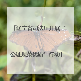 辽宁省司法厅开展“公证规范优质”行动