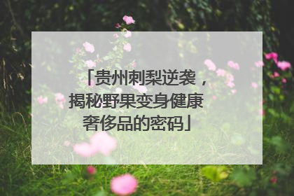 贵州刺梨逆袭，揭秘野果变身健康奢侈品的密码