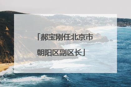 郝宝刚任北京市朝阳区副区长