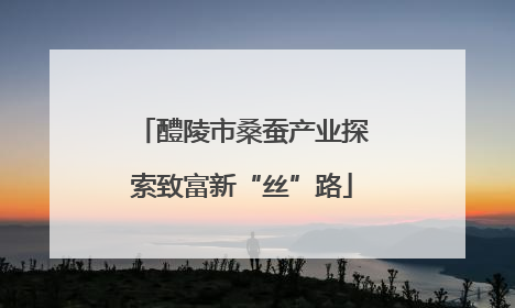 醴陵市桑蚕产业探索致富新“丝”路