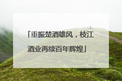 重振楚酒雄风，枝江酒业再续百年辉煌