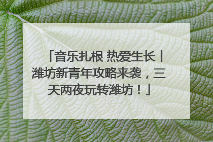 音乐扎根 热爱生长丨潍坊新青年攻略来袭，三天两夜玩转潍坊！