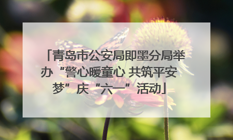 青岛市公安局即墨分局举办“警心暖童心 共筑平安梦”庆“六一”活动