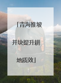 青海推坡并块提升耕地质效