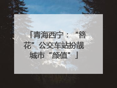 青海西宁：“簪花”公交车站扮靓城市“颜值”
