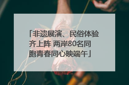 非遗展演、民俗体验齐上阵 两岸80名同胞青春同心映端午