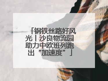 钢铁丝路好风光丨沙良物流园助力中欧班列跑出“加速度”