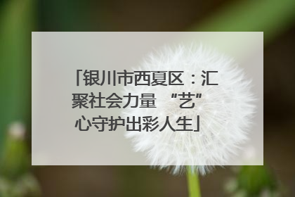 银川市西夏区：汇聚社会力量 “艺”心守护出彩人生