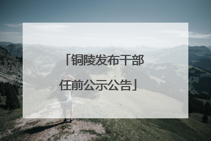 铜陵发布干部任前公示公告