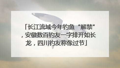 长江流域今年钓鱼“解禁”，安徽数百钓友一字排开如长龙，四川钓友称像过节