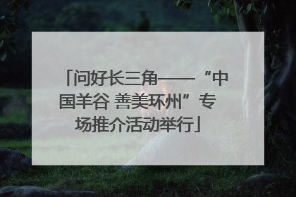 问好长三角——“中国羊谷 善美环州”专场推介活动举行