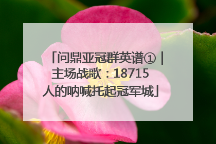 问鼎亚冠群英谱①｜主场战歌：18715人的呐喊托起冠军城
