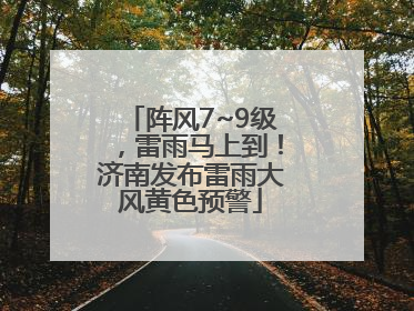 阵风7~9级，雷雨马上到！济南发布雷雨大风黄色预警