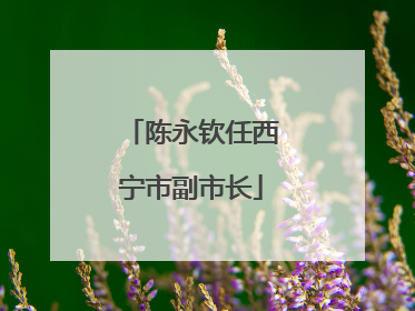 陈永钦任西宁市副市长