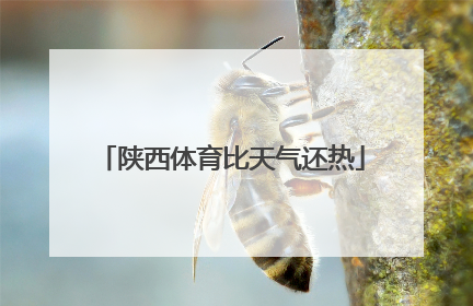陕西体育比天气还热