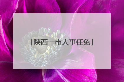 陕西一市人事任免