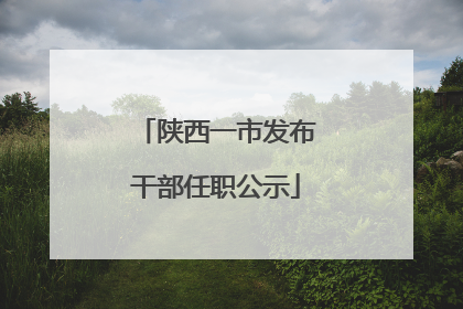 陕西一市发布干部任职公示
