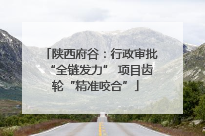 陕西府谷：行政审批“全链发力” 项目齿轮“精准咬合”